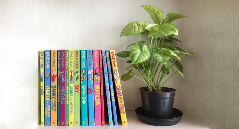 Quotes to Celebrate Roald Dahl Day
