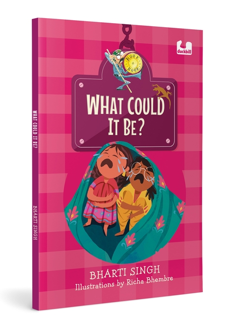 What Could It Be? (Hook Books)